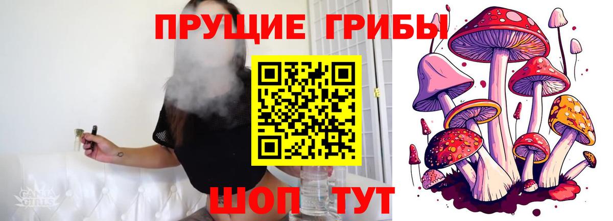 Галлюциногенные грибы мицелий  Вход с VPN  Фролово 